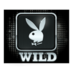 Simbol Wild Slot Playboy