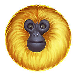 Ikon 2 7 Monkeys