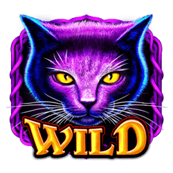 Simbol Wild Wild Spells Slot