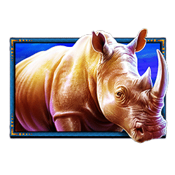 Ikon 2 Safari King