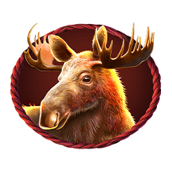 Ikon 5 Buffalo King