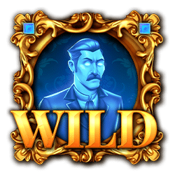 Simbol Wild Slot Mysterious