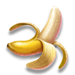 Ikon 5 Fruit Rainbow