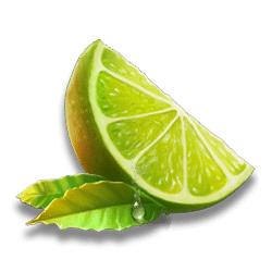 Ikon 6 Fruit Rainbow