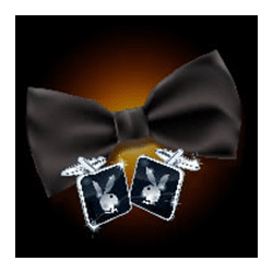 Ikon 6 Playboy Fortunes