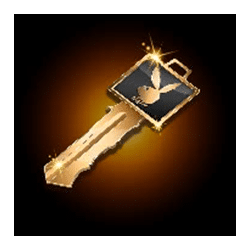 Ikon 7 Playboy Fortunes