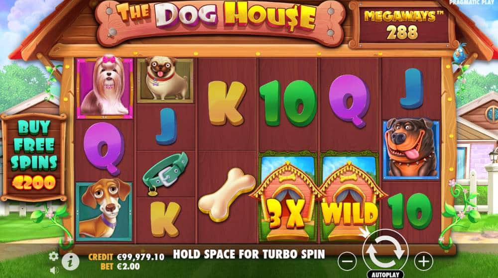 The Dog House Megaways slot feature
