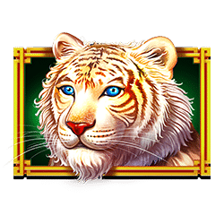 Ikon 1 Dragon Tiger