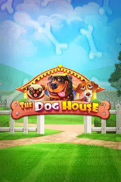 Main Gratis Rumah Anjing dalam Mode Demo