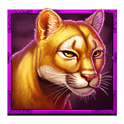 Ikon 5 Mystic Chief