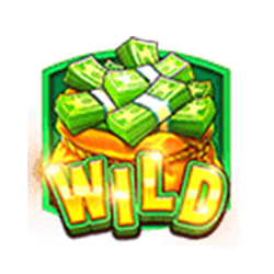 Simbol Wild Slot Cash Bonanza