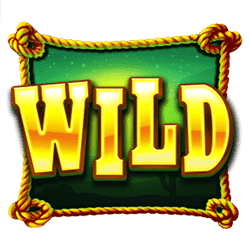 Simbol Wild Slot Bounty Gold