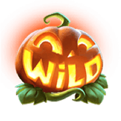 Simbol Wild dari Slot Mr. Hallow-Win