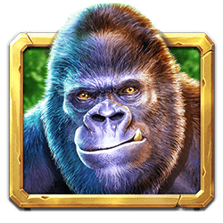 Ikon 1 Gorilla Mayhem