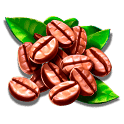 Ikon 4 Coffee Wild
