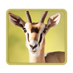Ikon 5 Safari Wilds