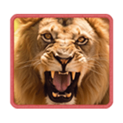 Ikon 1 Safari Wilds