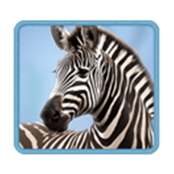 Ikon 4 Safari Wilds