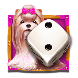 Ikon 3 The Dog House Dice Show