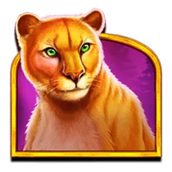 Ikon 4 Wolf Gold Ultimate