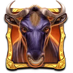 Ikon 1 Wild Wildebeest Wins