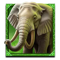 Ikon 2 Wild Wildebeest Wins