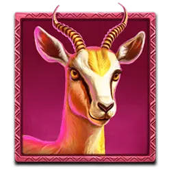 Ikon 5 Wild Wildebeest Wins