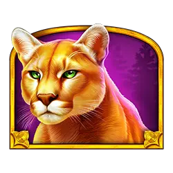 Ikon 4 Wolf Gold 4 Pack