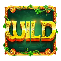 Simbol Wild Slot Wild Wild Riches Returns