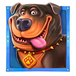 Ikon 1 The Big Dog House