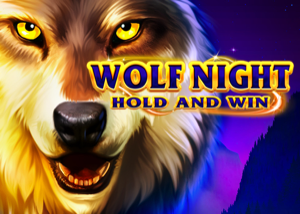 Demo Slot Wolf Night dari BNG